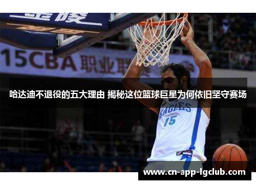 哈达迪不退役的五大理由 揭秘这位篮球巨星为何依旧坚守赛场 哈达迪不退役的五大理由 揭秘这位篮球巨星为何依旧坚守赛场