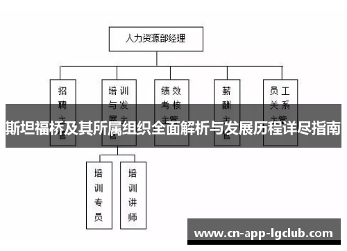 斯坦福桥及其所属组织全面解析与发展历程详尽指南