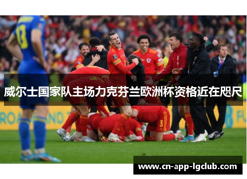 威尔士国家队主场力克芬兰欧洲杯资格近在咫尺