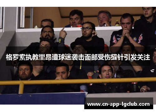 格罗索执教里昂遭球迷袭击面部受伤缝针引发关注