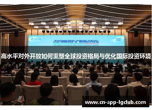 高水平对外开放如何重塑全球投资格局与优化国际投资环境
