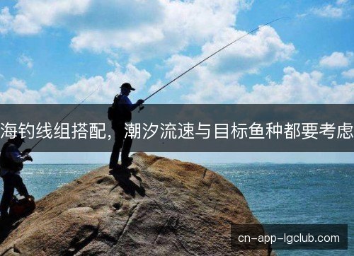 海钓线组搭配，潮汐流速与目标鱼种都要考虑